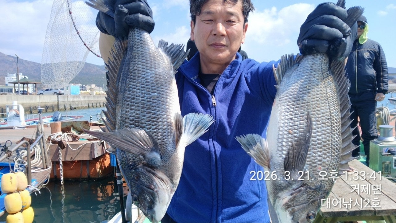 ����ڰ� �ø� �̹���