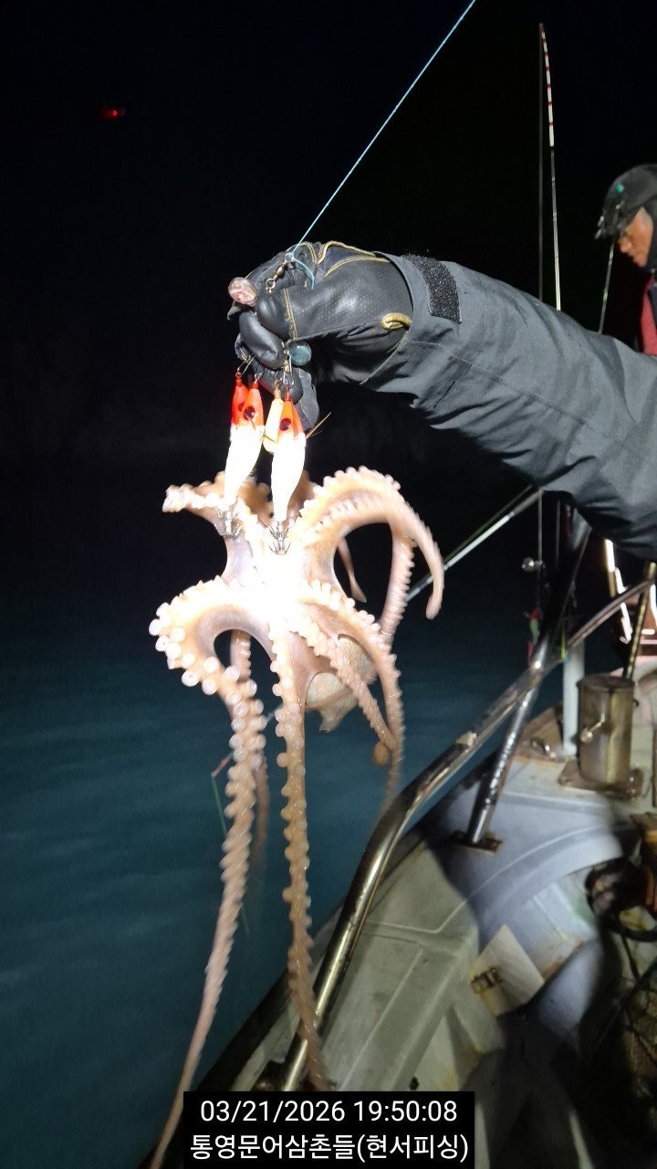 ����ڰ� �ø� �̹���