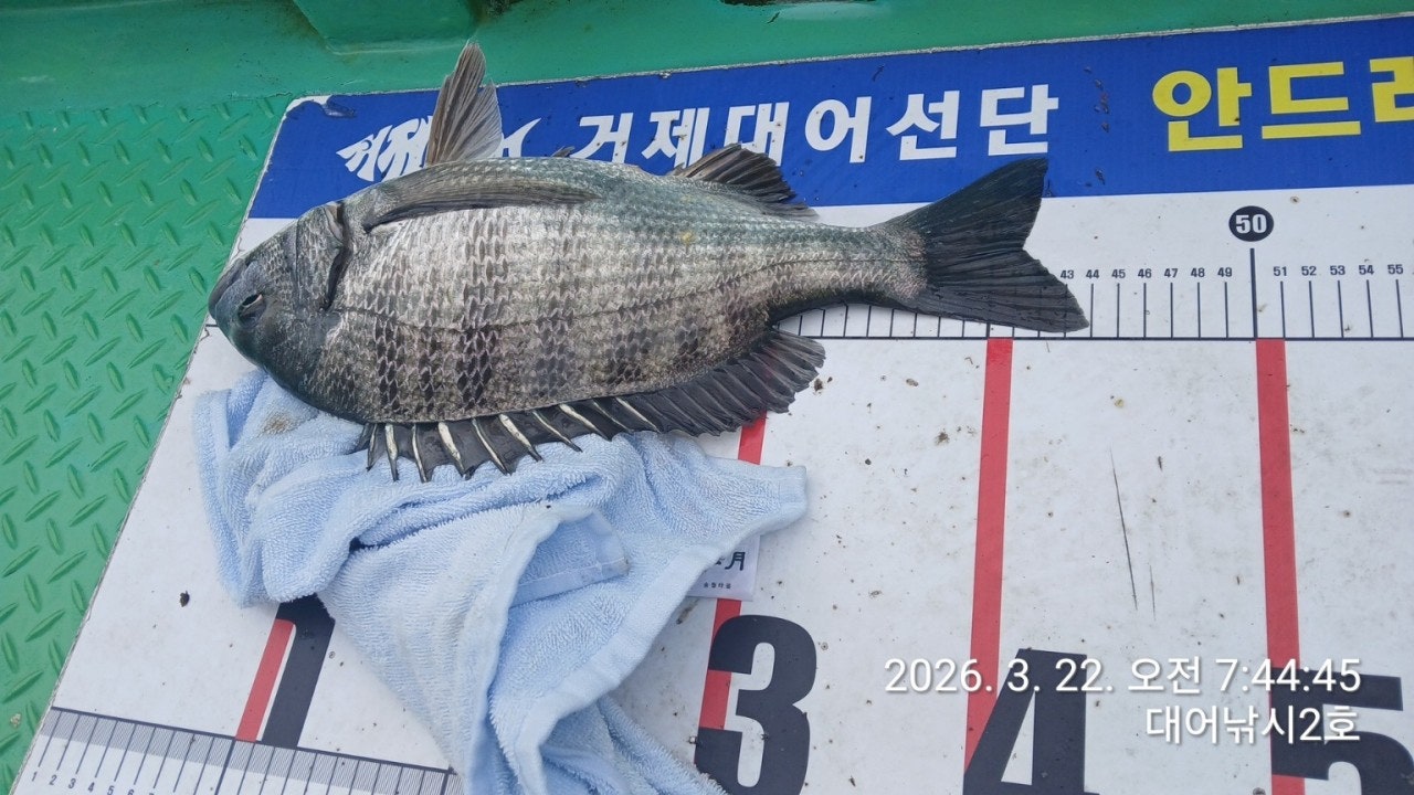 ����ڰ� �ø� �̹���