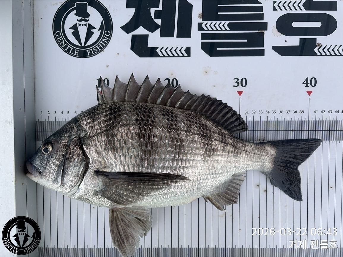 ����ڰ� �ø� �̹���