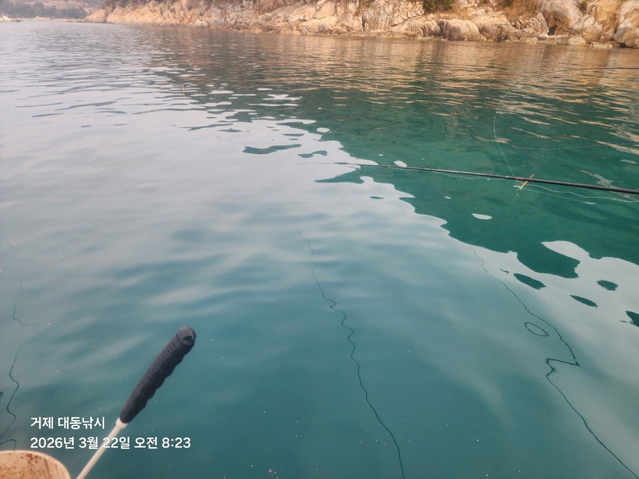 ����ڰ� �ø� �̹���