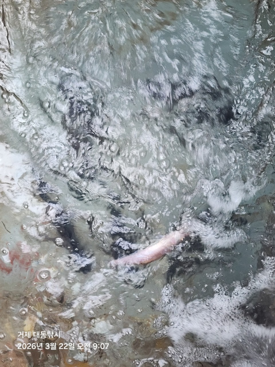 ����ڰ� �ø� �̹���