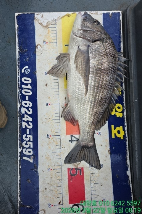 ����ڰ� �ø� �̹���