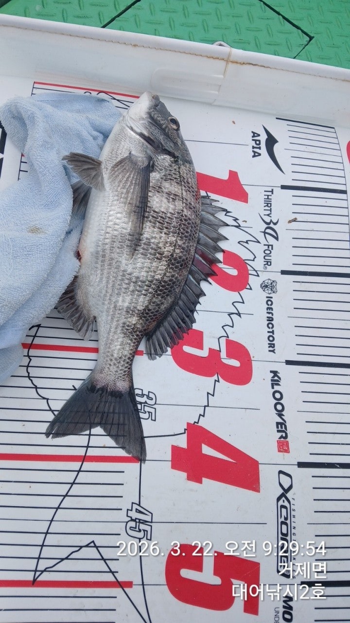 ����ڰ� �ø� �̹���