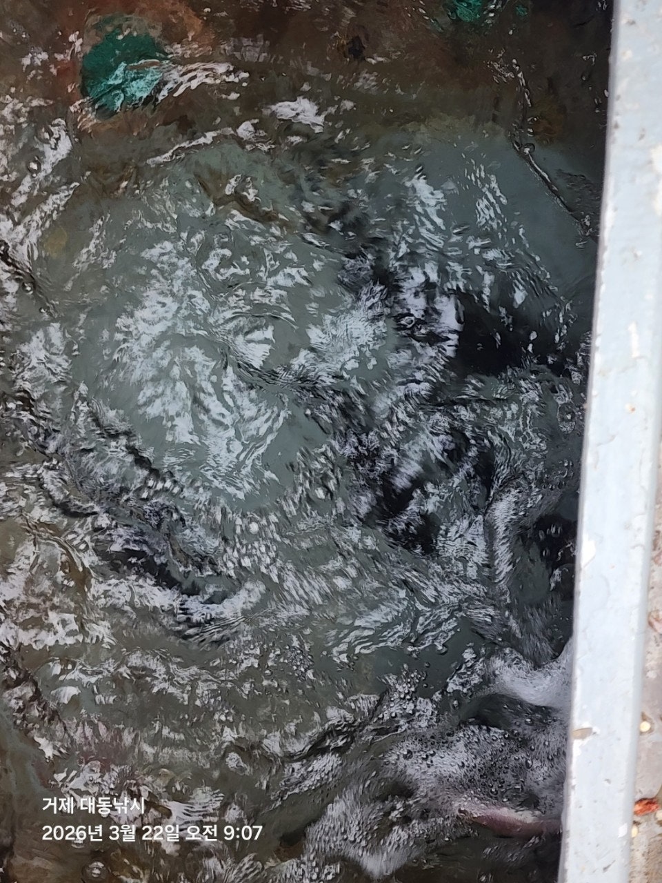 ����ڰ� �ø� �̹���