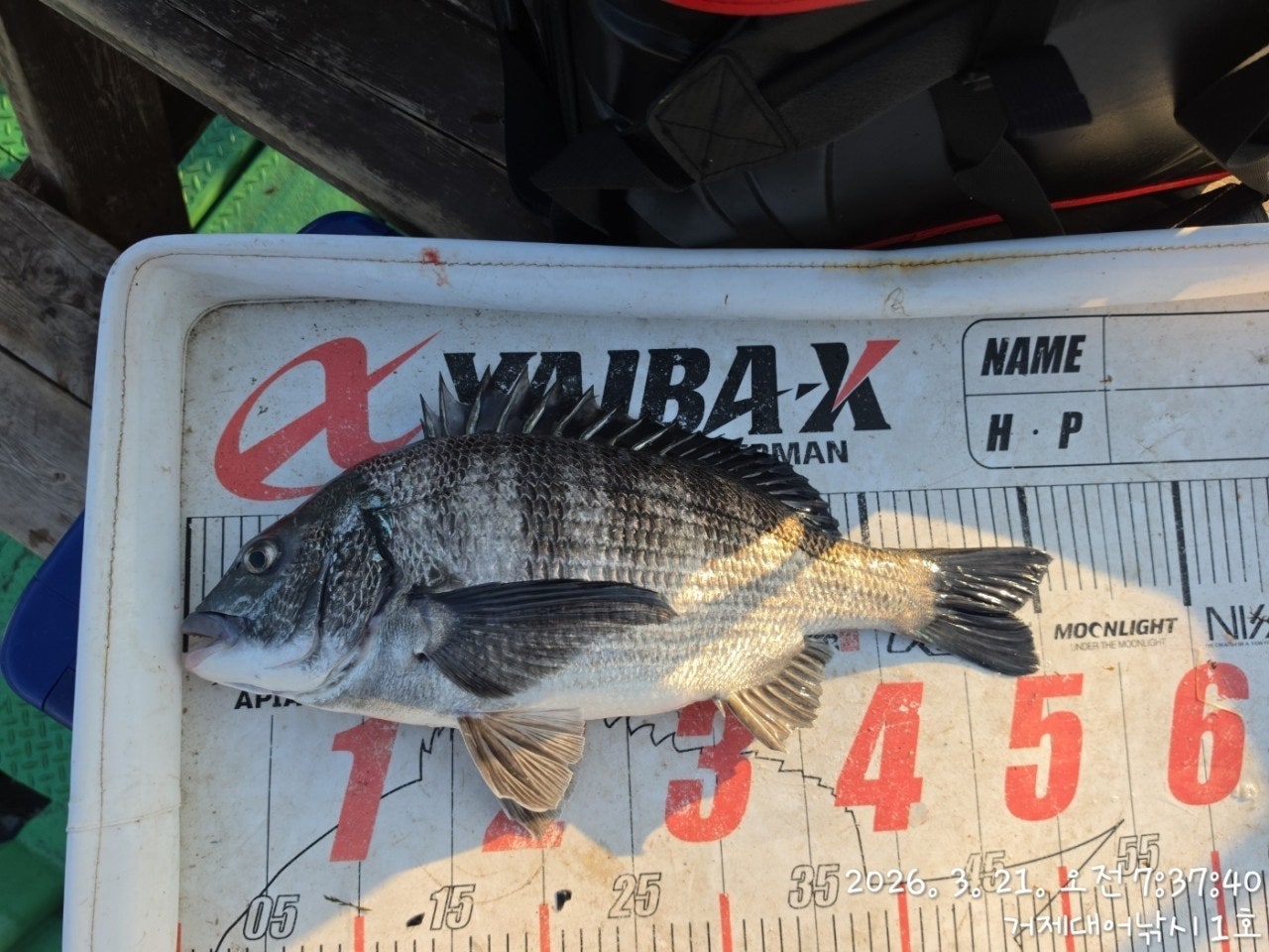 ����ڰ� �ø� �̹���