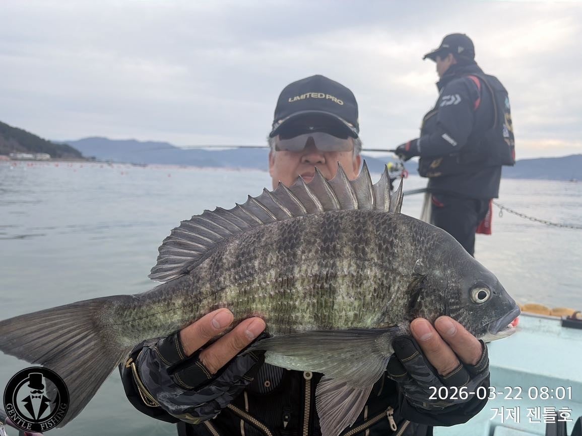 ����ڰ� �ø� �̹���