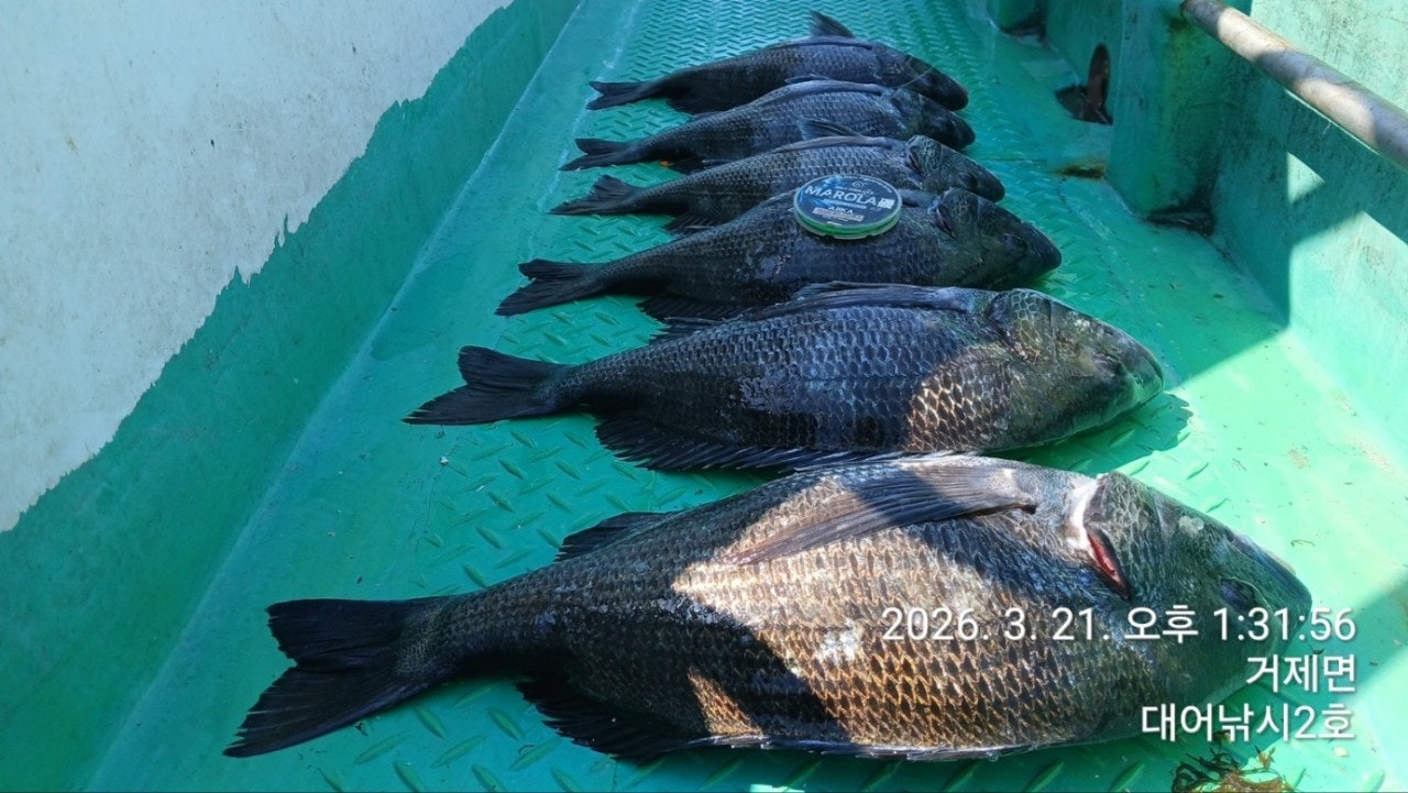 ����ڰ� �ø� �̹���