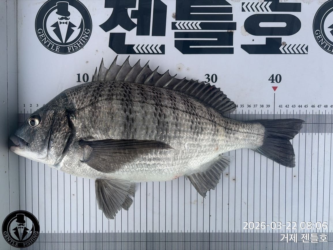 ����ڰ� �ø� �̹���