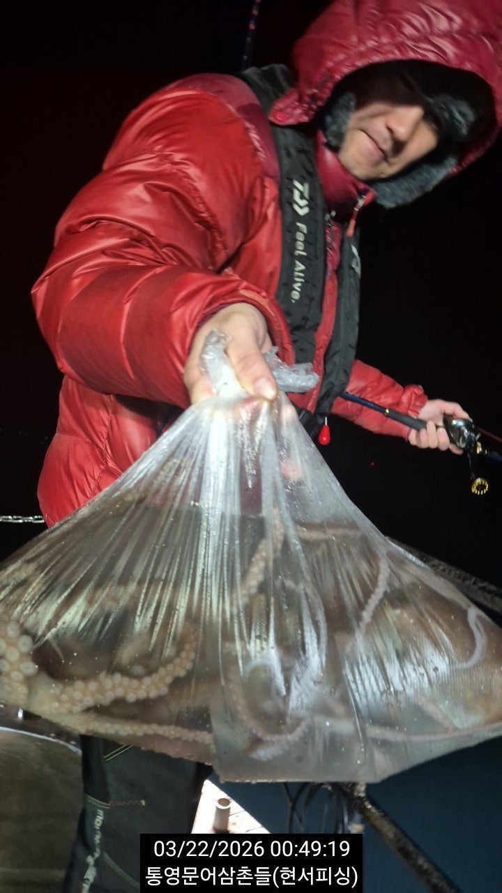 ����ڰ� �ø� �̹���