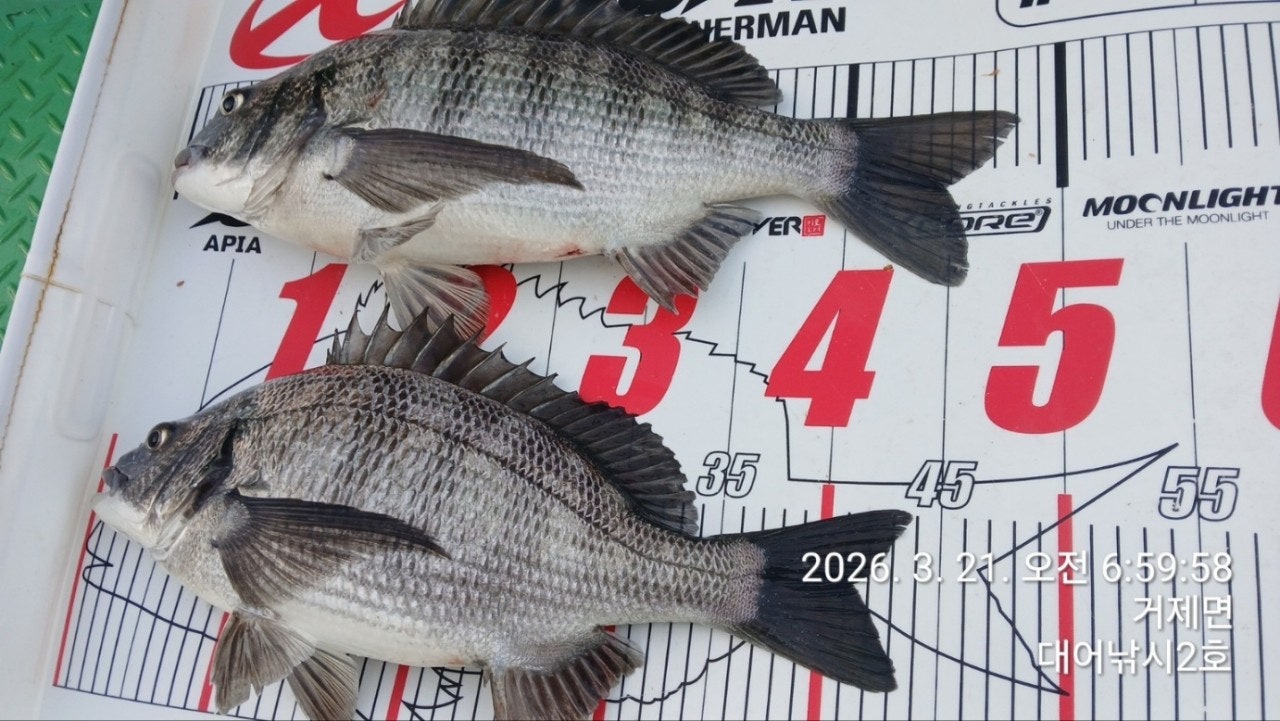 ����ڰ� �ø� �̹���