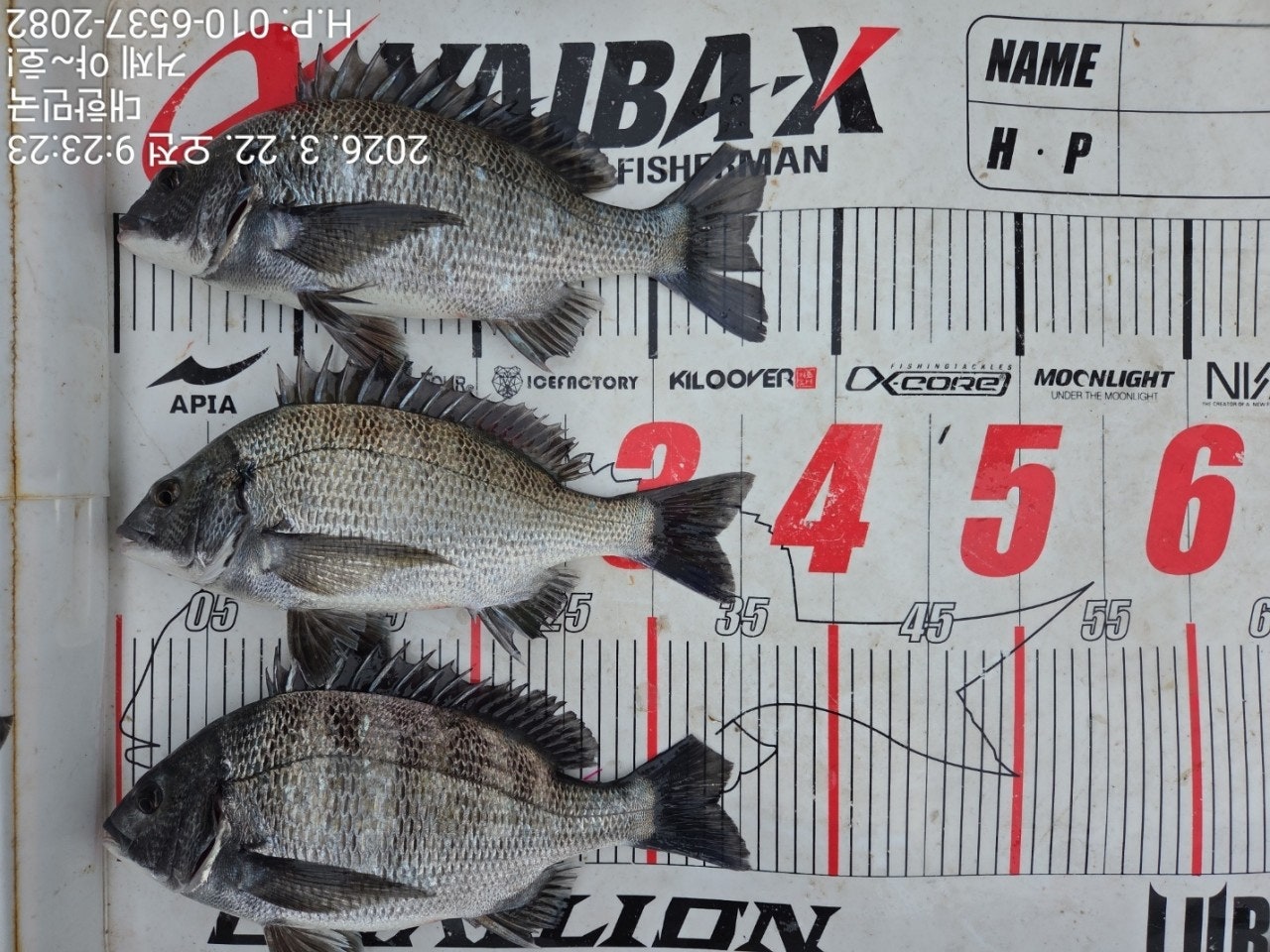 ����ڰ� �ø� �̹���