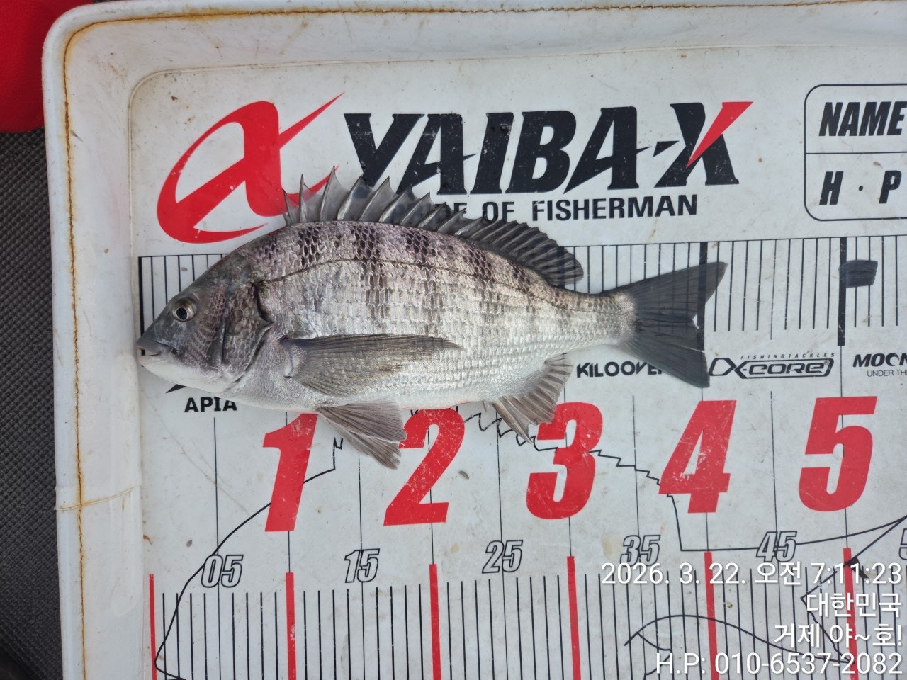 ����ڰ� �ø� �̹���