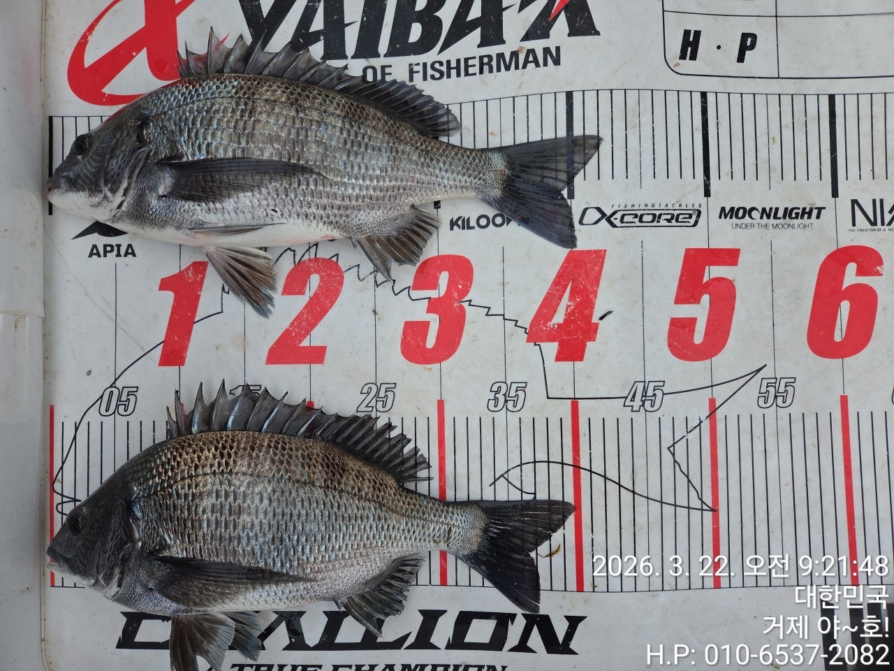 ����ڰ� �ø� �̹���