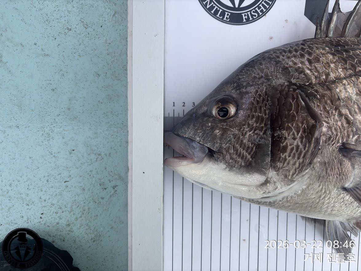 ����ڰ� �ø� �̹���