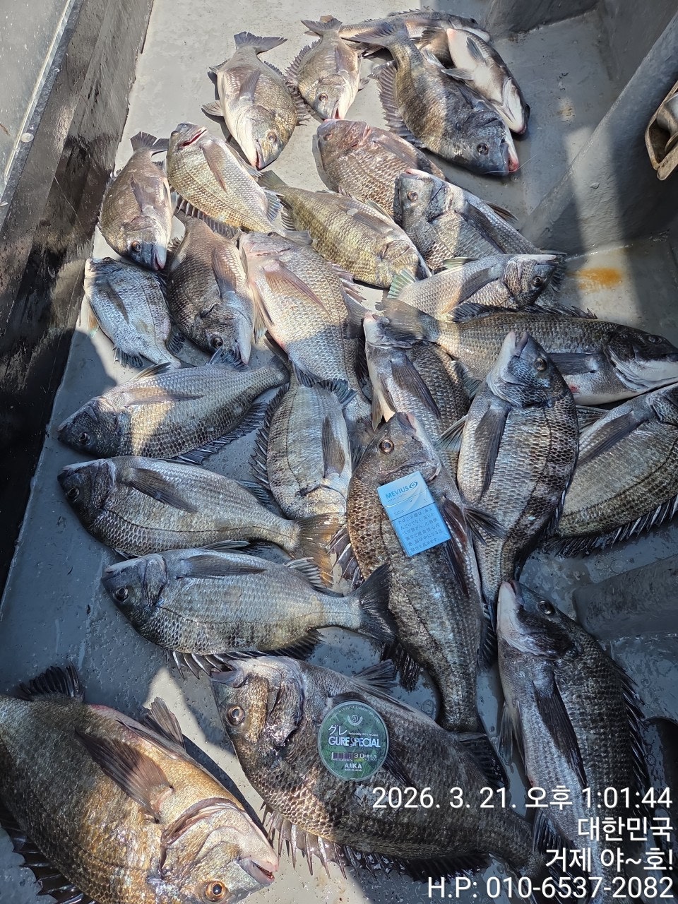 ����ڰ� �ø� �̹���