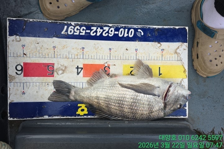 ����ڰ� �ø� �̹���