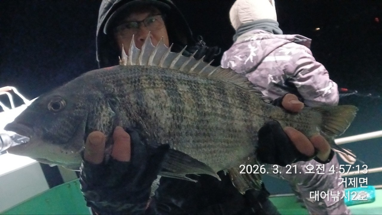 ����ڰ� �ø� �̹���