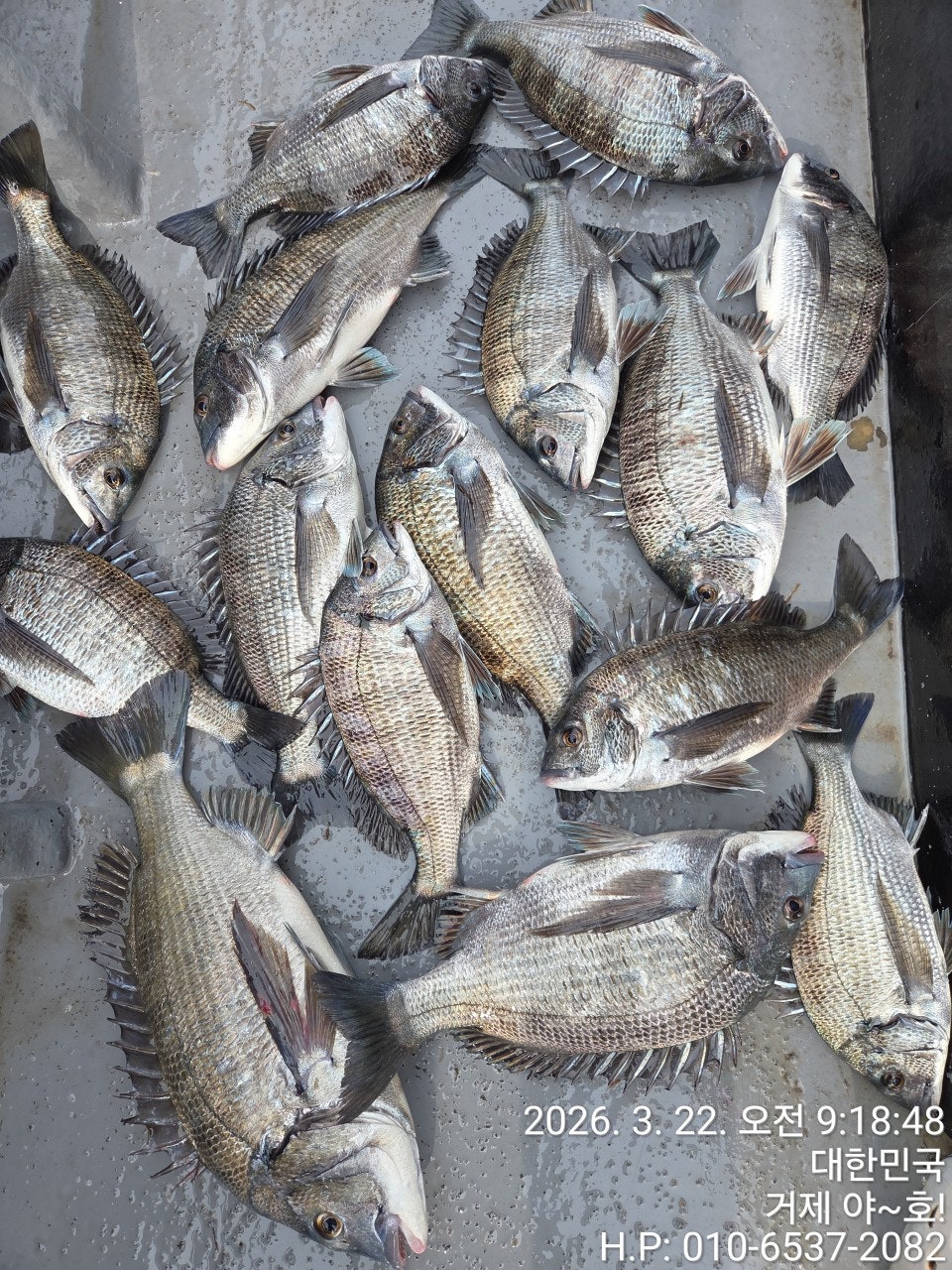 ����ڰ� �ø� �̹���