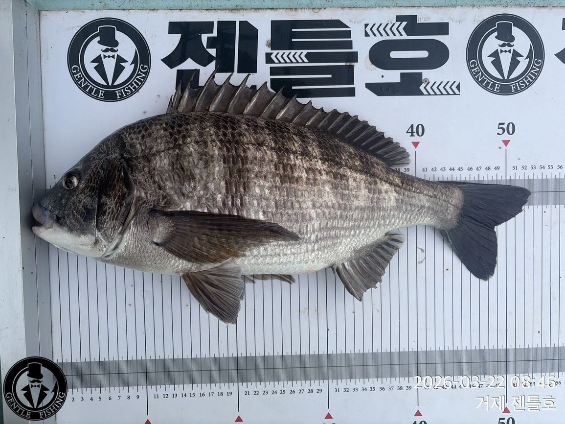 ����ڰ� �ø� �̹���