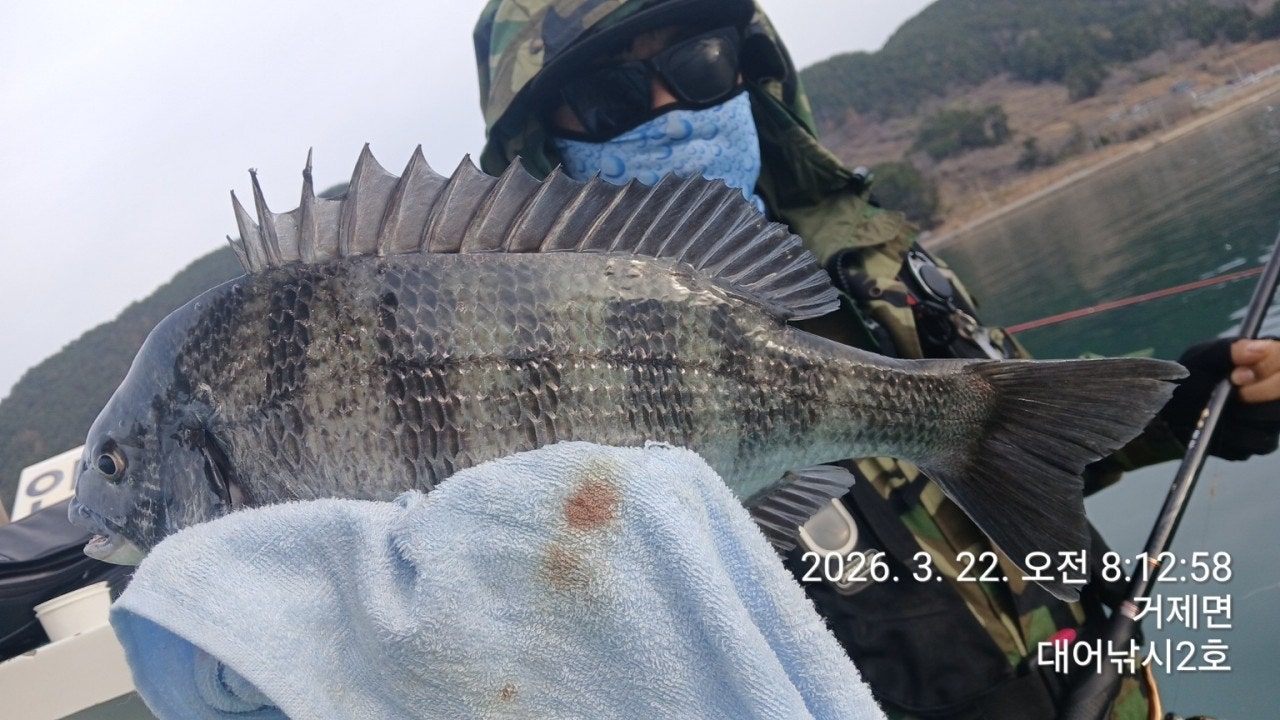 ����ڰ� �ø� �̹���