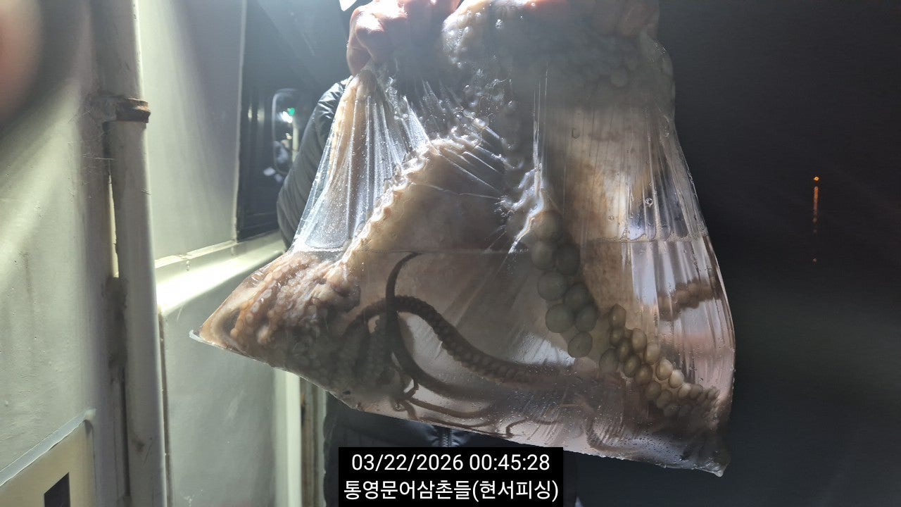 ����ڰ� �ø� �̹���