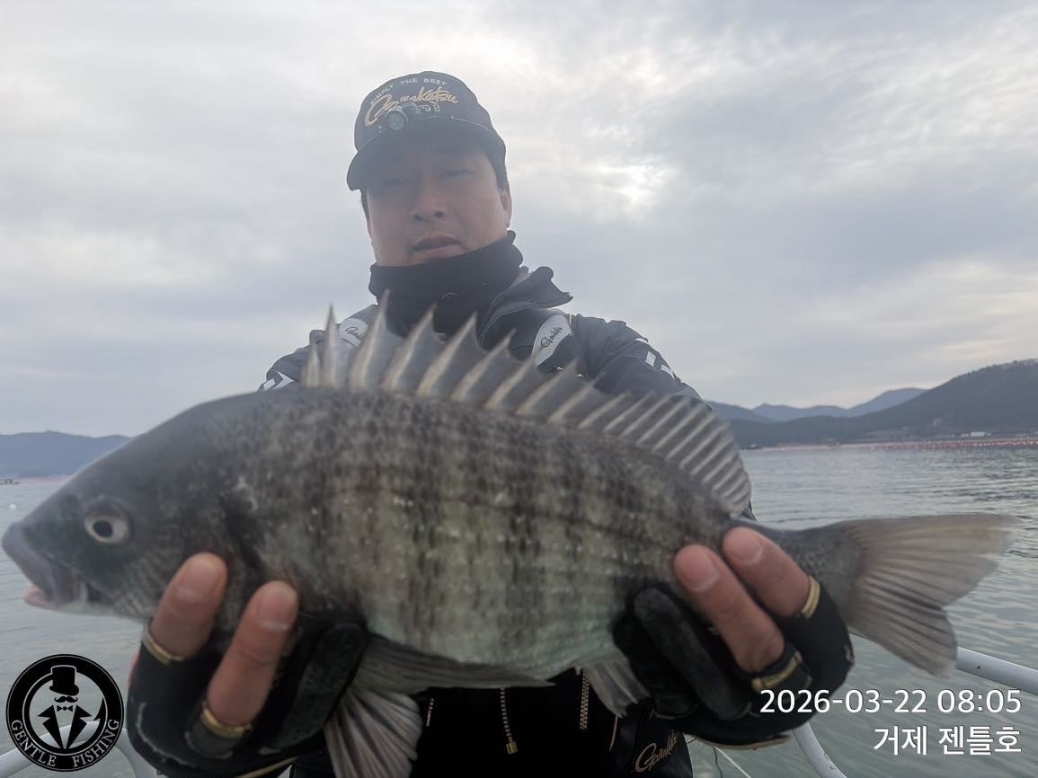 ����ڰ� �ø� �̹���