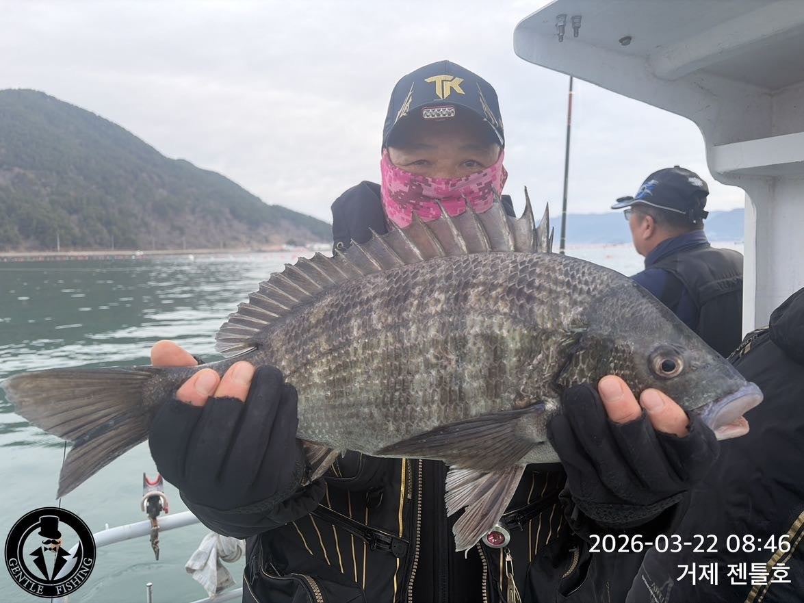 ����ڰ� �ø� �̹���