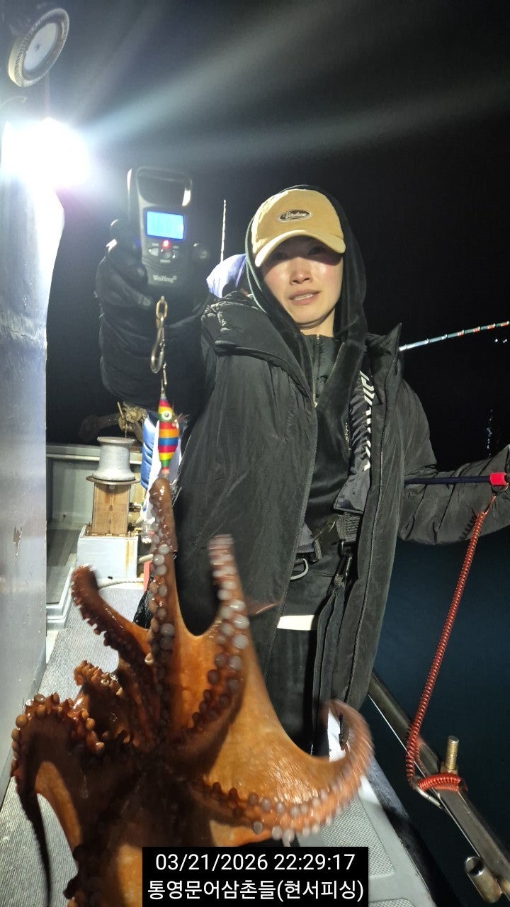 ����ڰ� �ø� �̹���