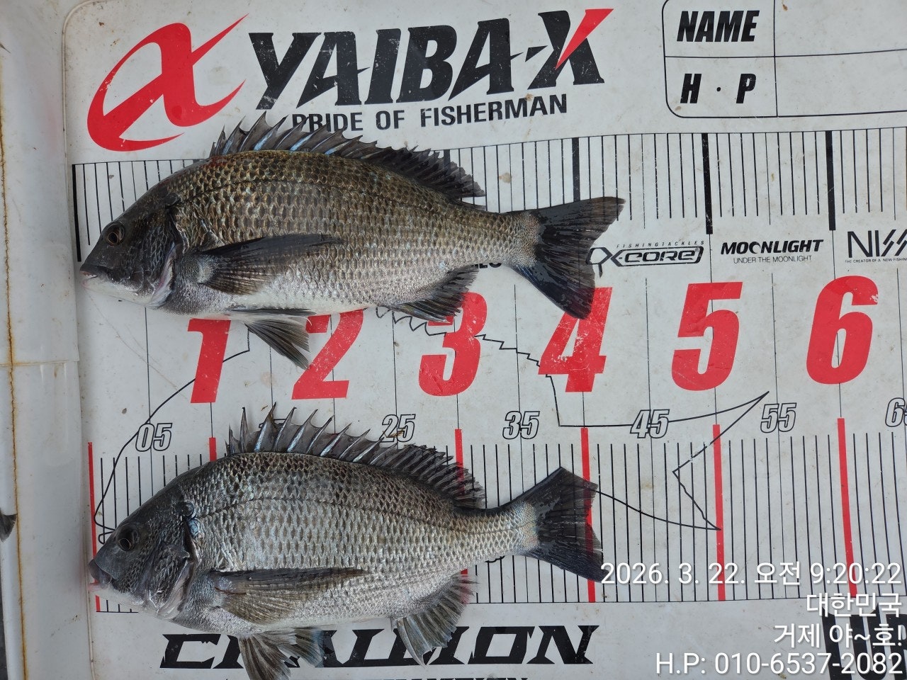 ����ڰ� �ø� �̹���