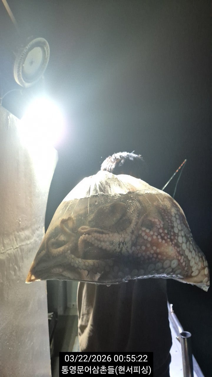 ����ڰ� �ø� �̹���