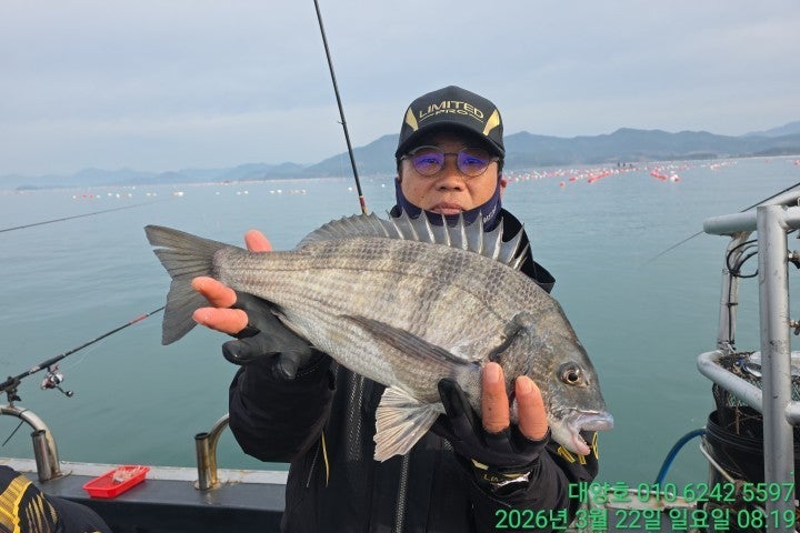 ����ڰ� �ø� �̹���