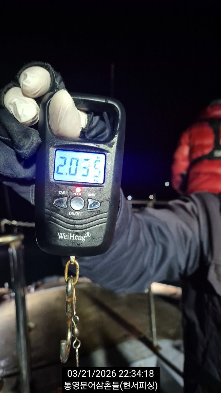 ����ڰ� �ø� �̹���