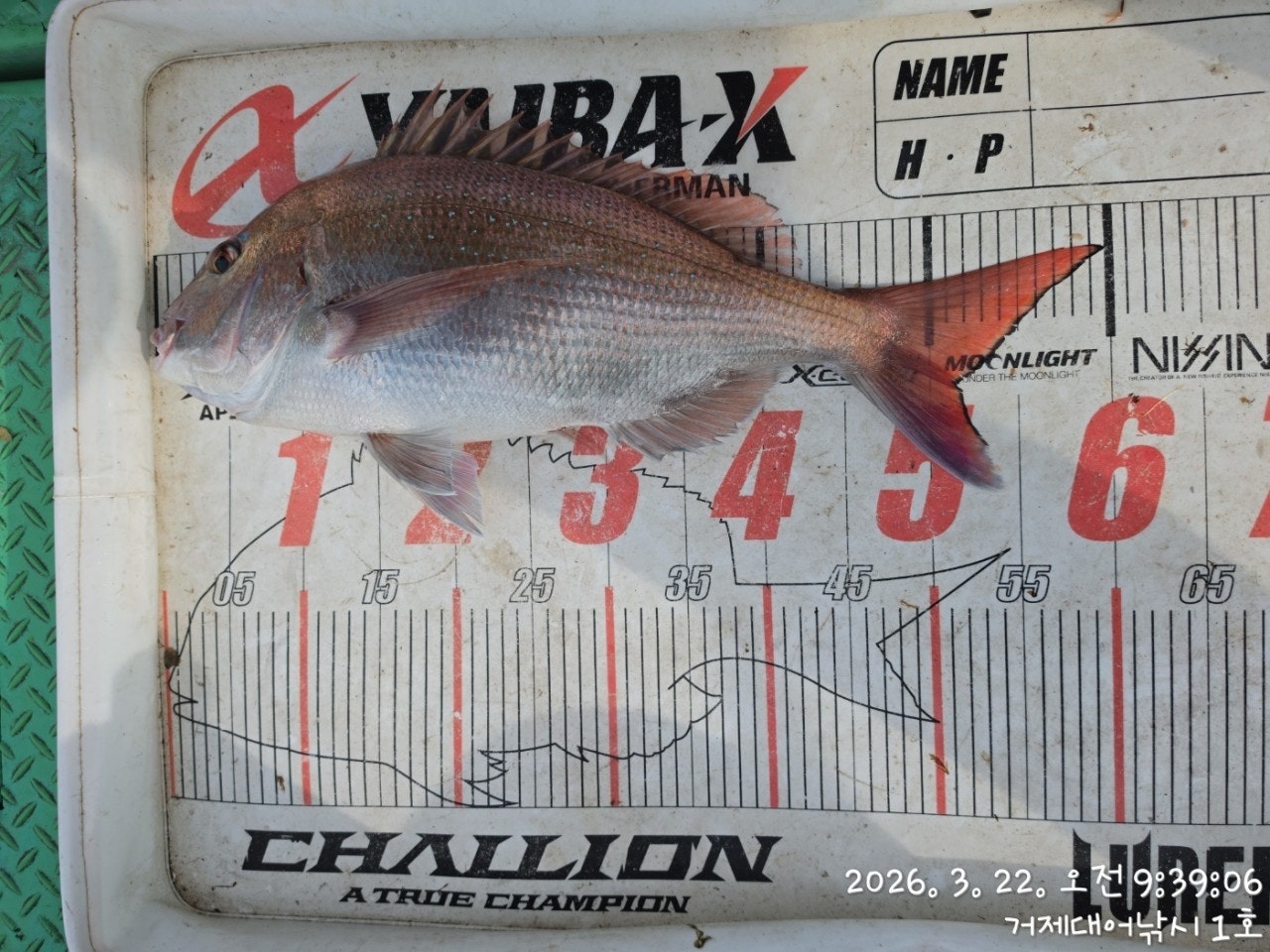 ����ڰ� �ø� �̹���