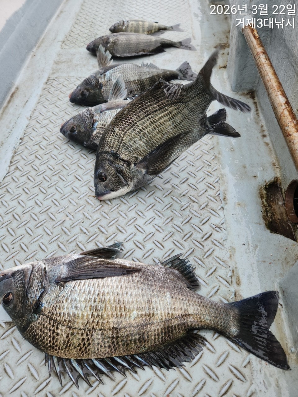 ����ڰ� �ø� �̹���