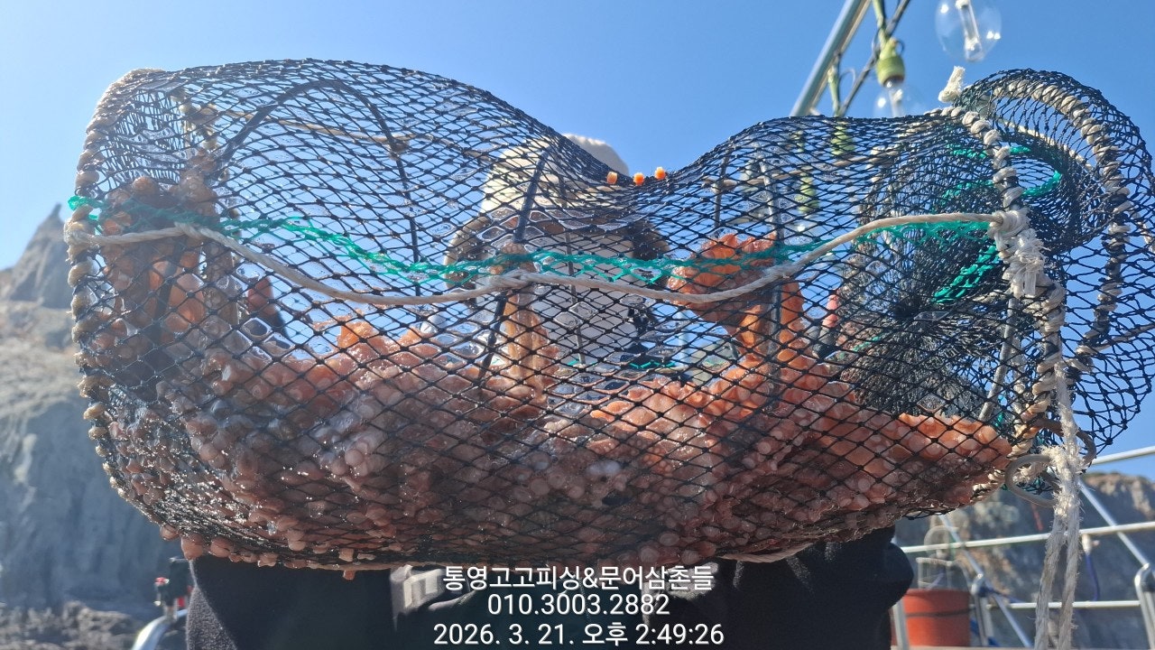 ����ڰ� �ø� �̹���