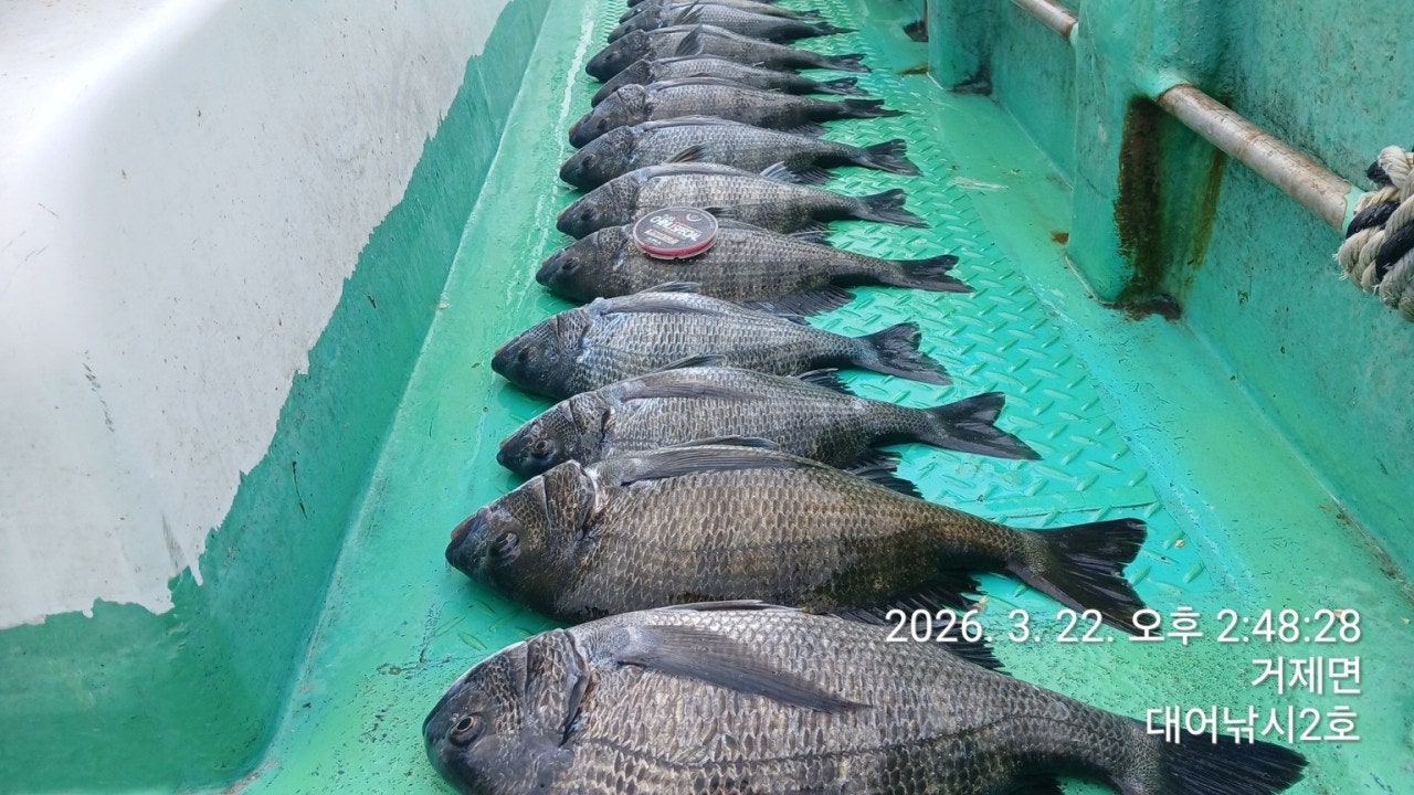 ����ڰ� �ø� �̹���