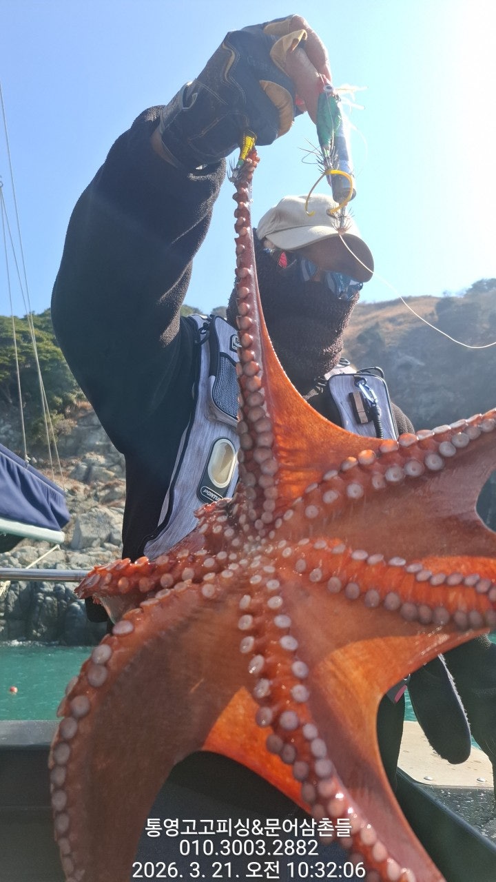 ����ڰ� �ø� �̹���