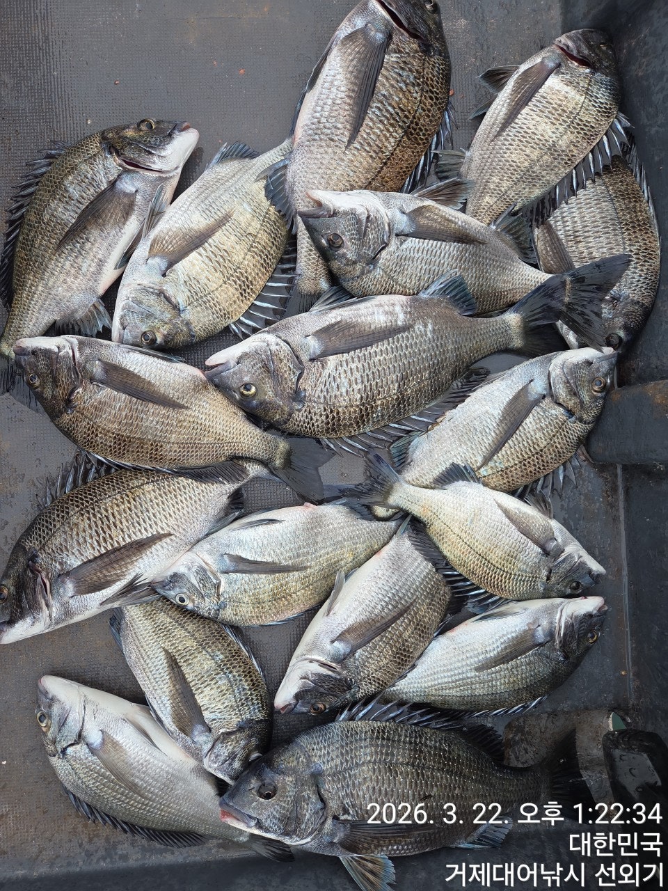 ����ڰ� �ø� �̹���