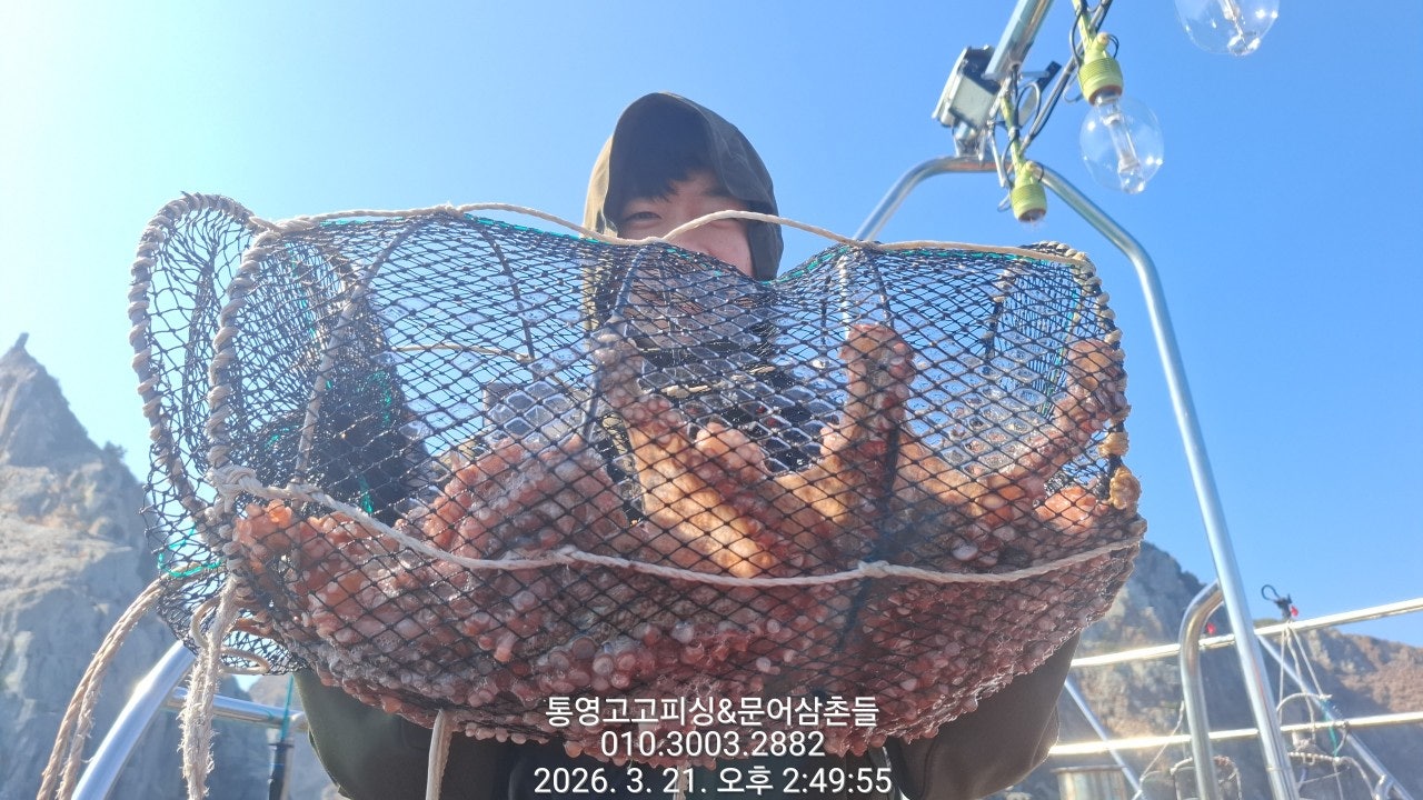 ����ڰ� �ø� �̹���