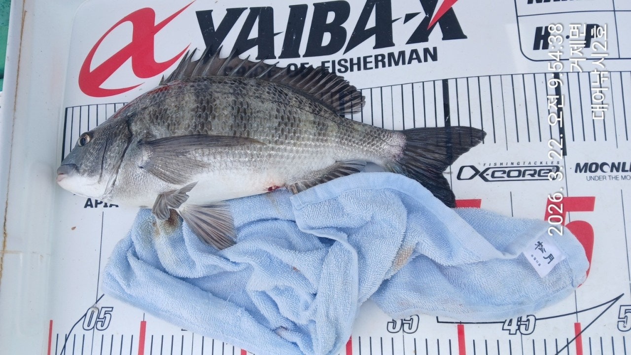 ����ڰ� �ø� �̹���