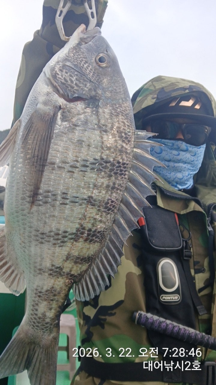 ����ڰ� �ø� �̹���