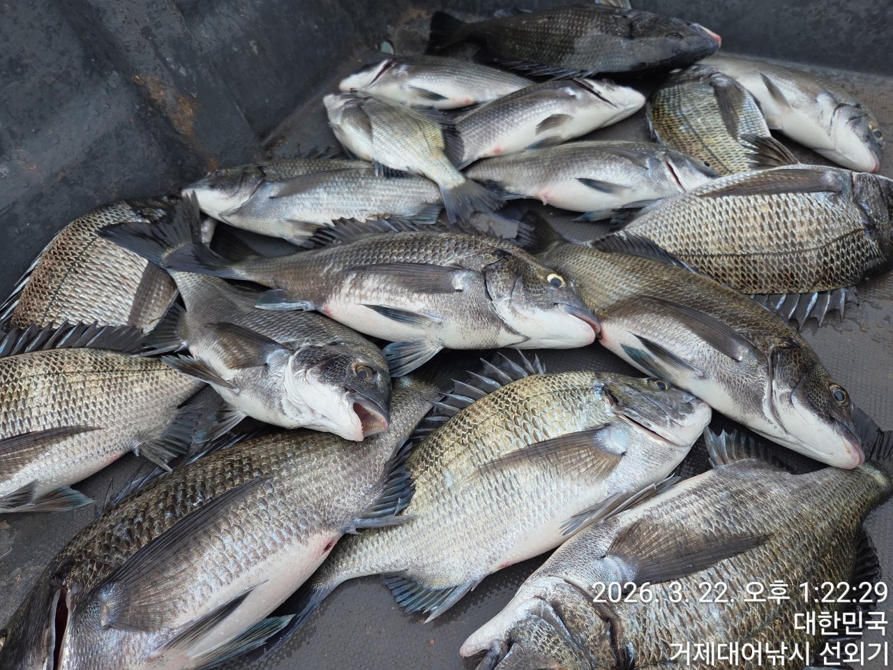 ����ڰ� �ø� �̹���