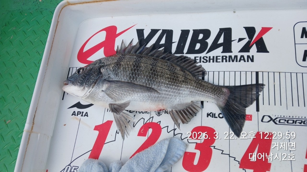 ����ڰ� �ø� �̹���