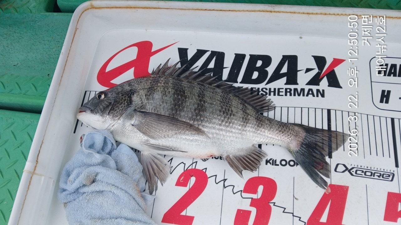 ����ڰ� �ø� �̹���