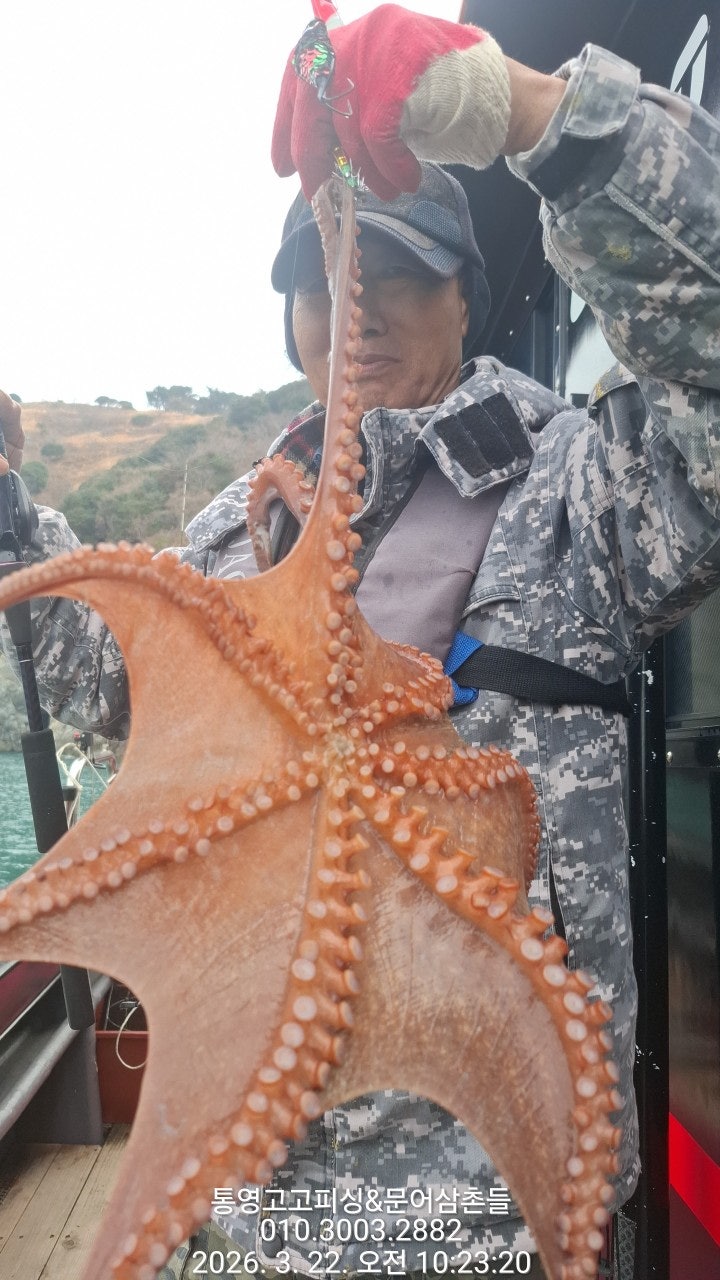 ����ڰ� �ø� �̹���