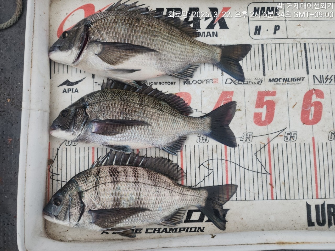 ����ڰ� �ø� �̹���