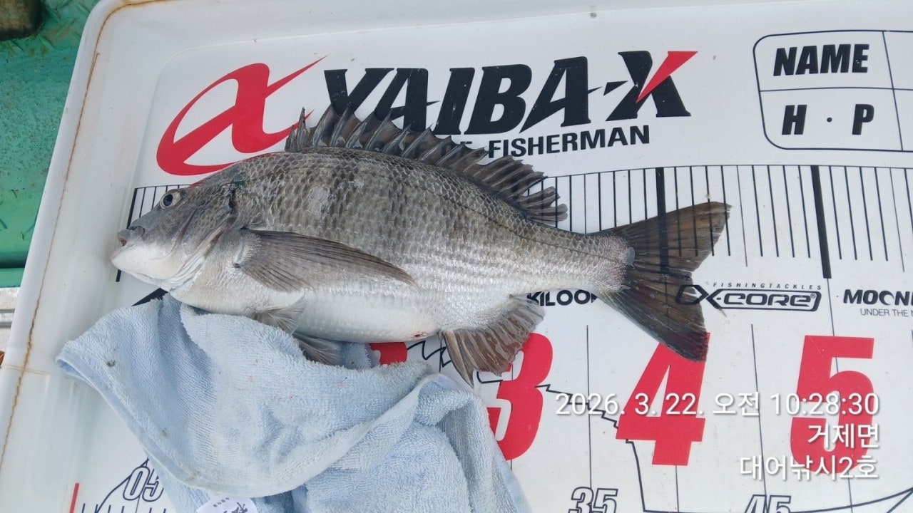 ����ڰ� �ø� �̹���