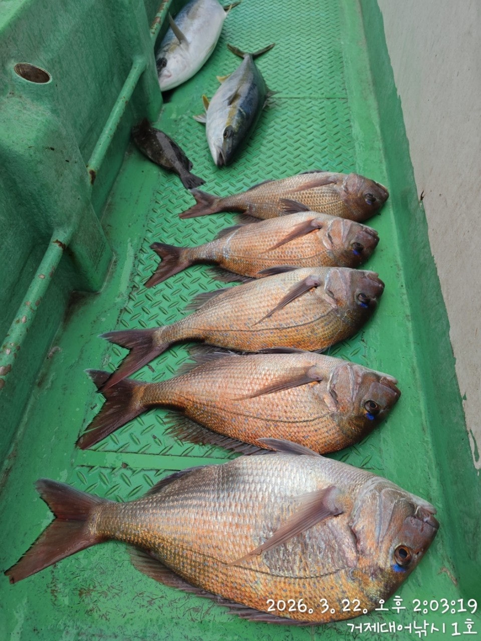 ����ڰ� �ø� �̹���