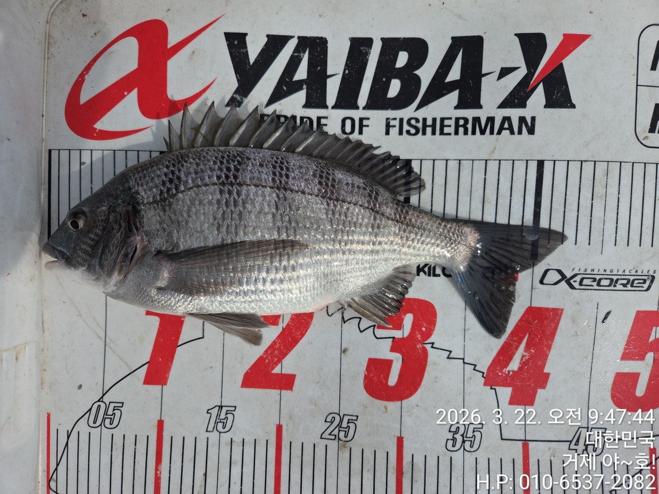 ����ڰ� �ø� �̹���